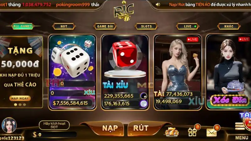 Trò chơi RicWin